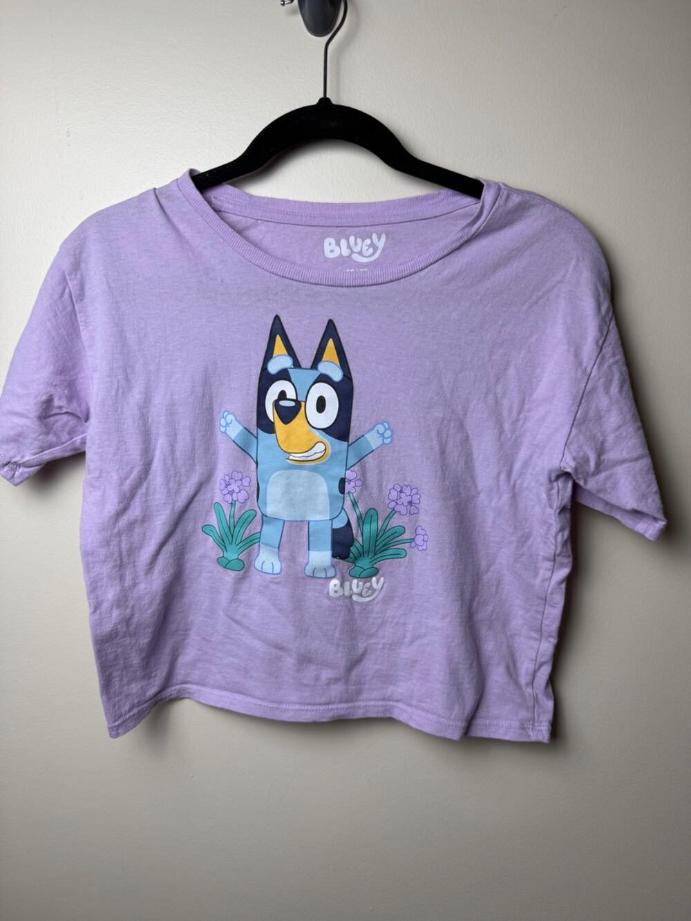 Disney Bluey Kids Girls Purple Crop T-shirt Top Size XL 14 Cute Kiddie Fun